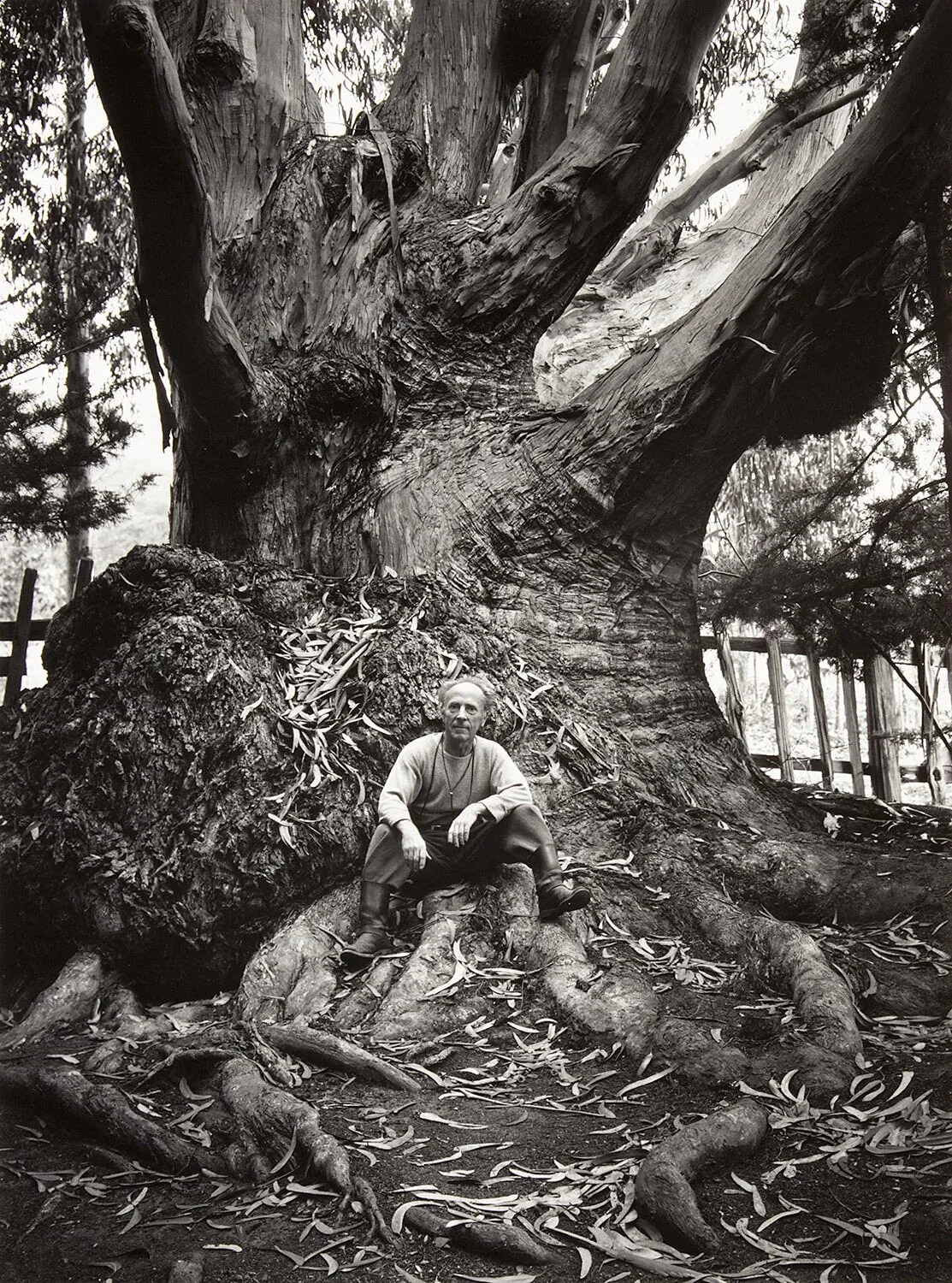 Photo of Edward Weston, Carmel Highlands by: Ansel Adams