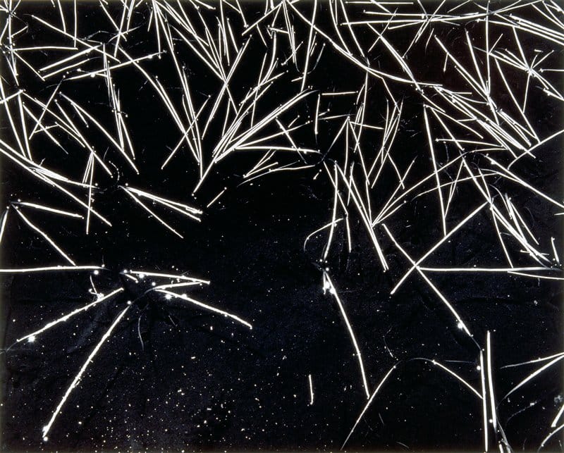 Grass and Pool, Yosemite National Park Photo by: Ansel Adams