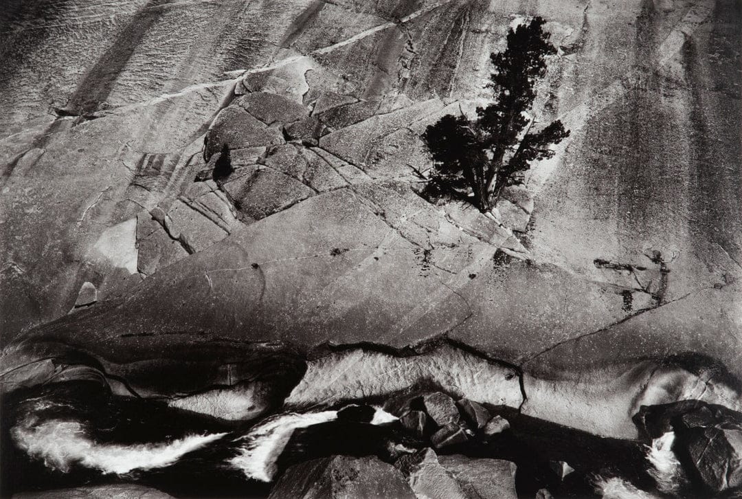 Junipers, Cliffs, Merced River Photo by: Ansel Adams