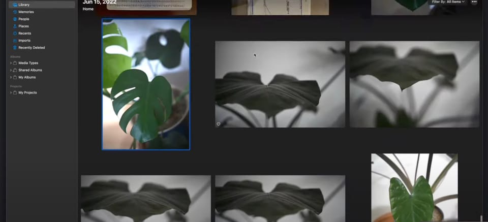 How to Export Images from Photos App & Import into Lightroom